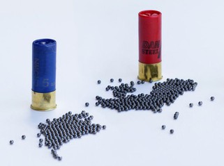Karštai parduodamas Cliber Bbs Hunting Steel Shot